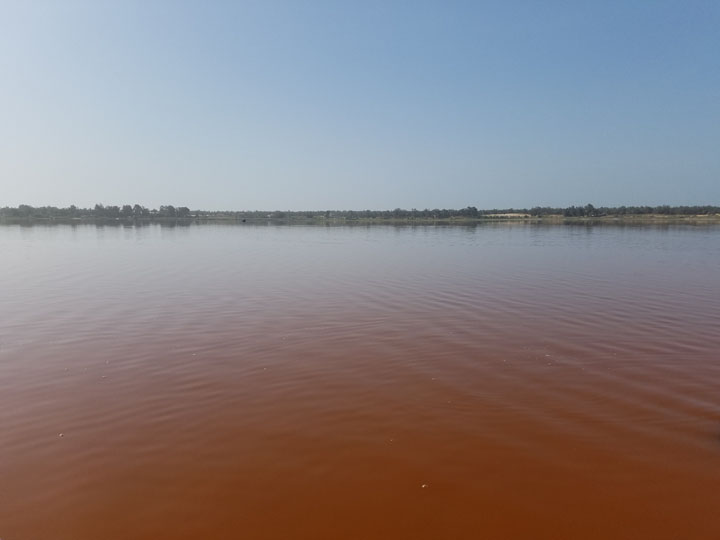 Orange waters of Lake Retba near the shore.