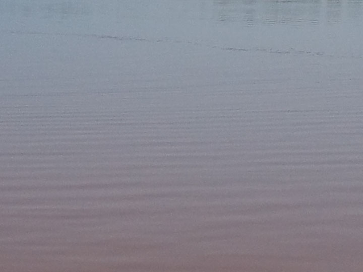 Pink Lake in Senegal