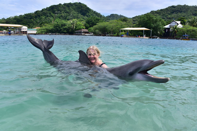 Snorkeling with Dolphins at Roatan, Honduras