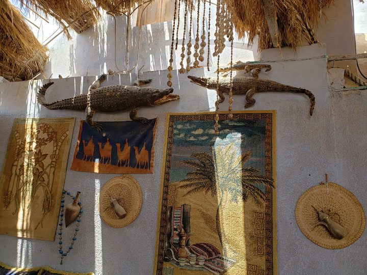 Crocodiles Displayed on a Wall of a Nubian Home